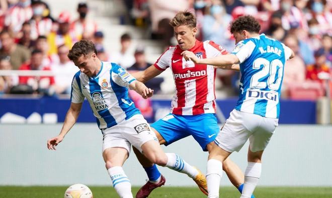 女足世界杯 女足世界杯