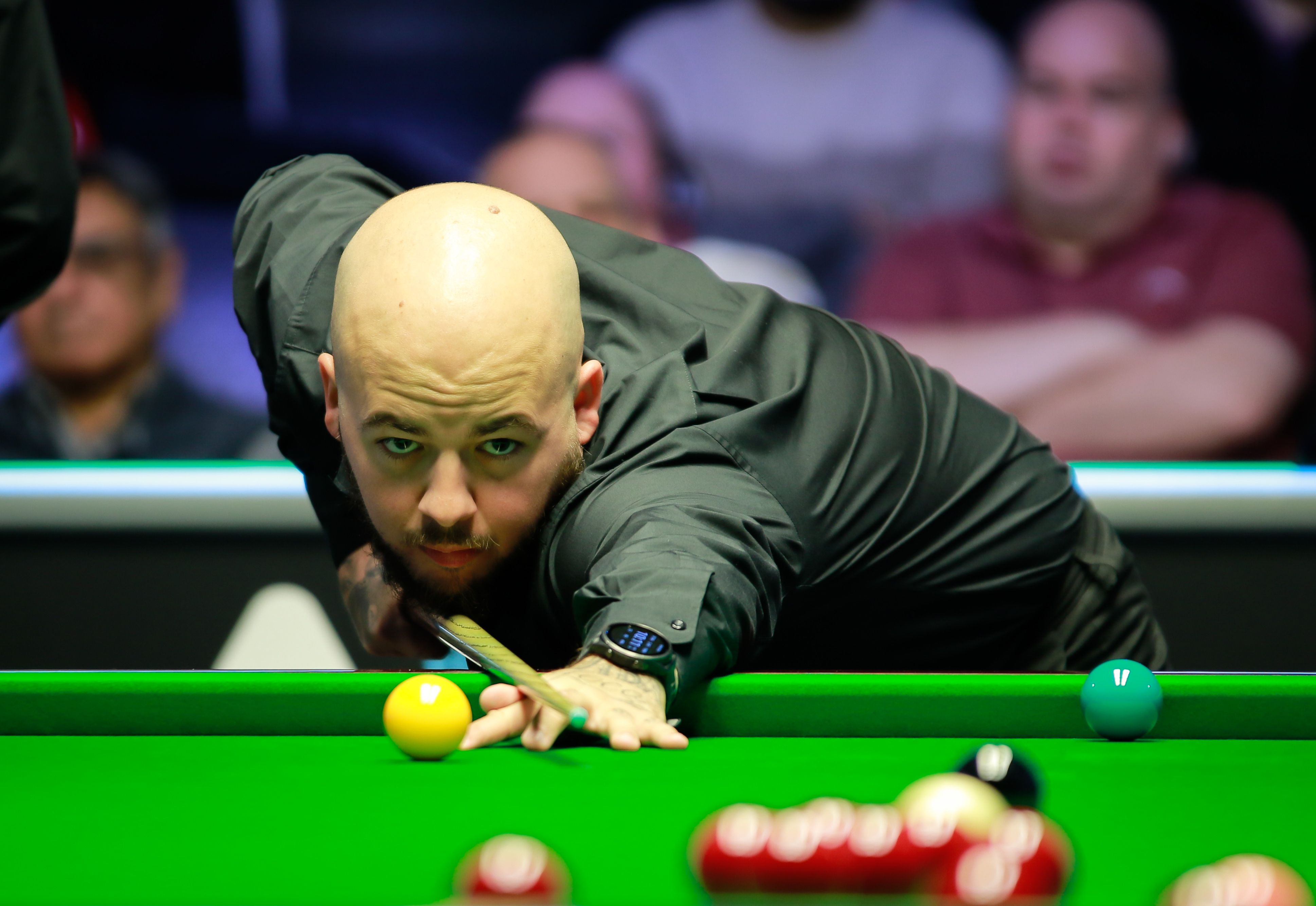 这一判断也 这一判断也